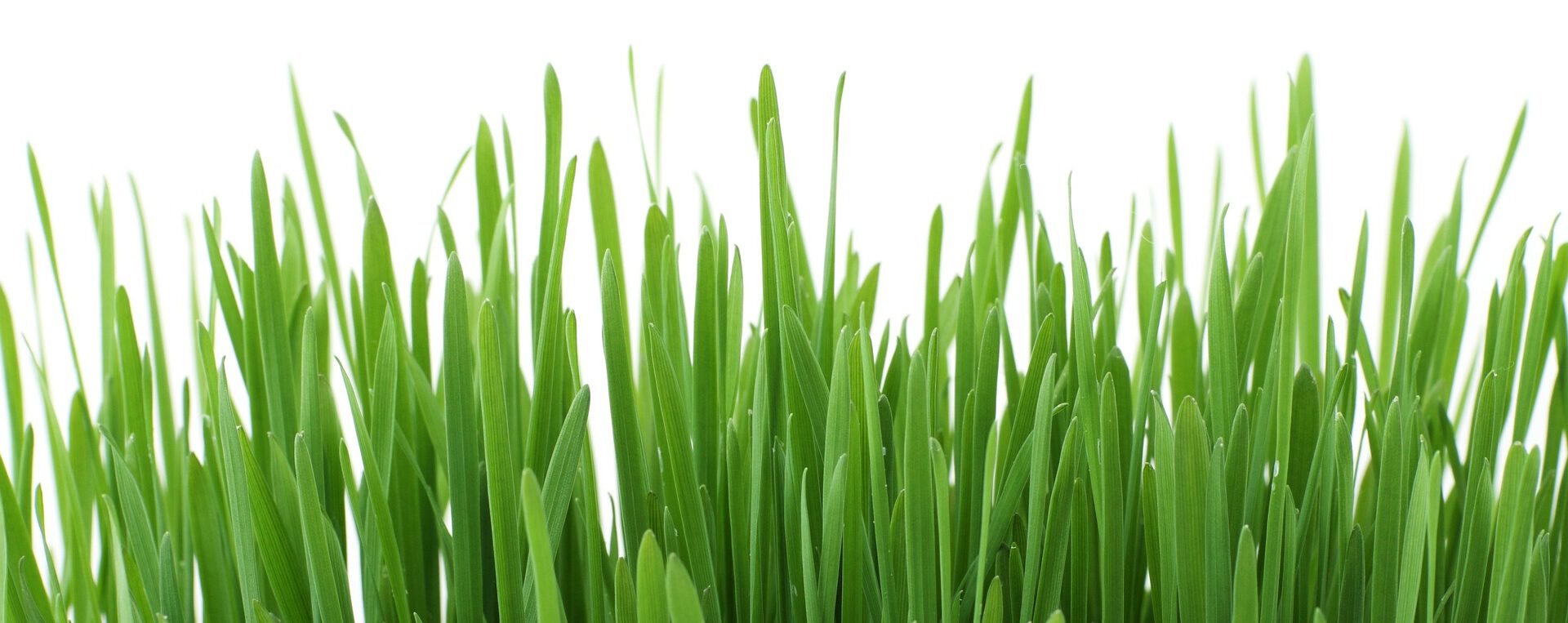 background-16051_1920